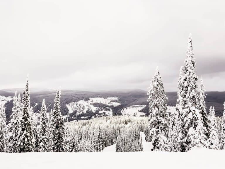 Ski Sun Peaks Resort • The Perfect Canadian Winter Destination