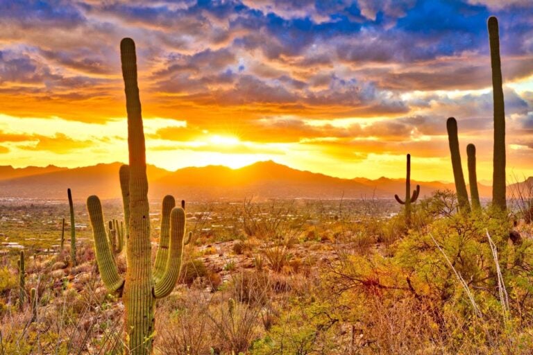 arizona road trip itinerary
