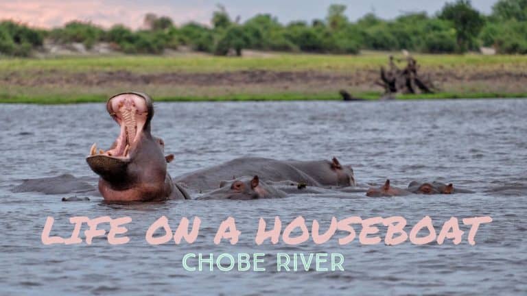 Living on the Zambezi Queen