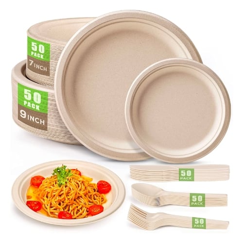 Compostable Paper Plate Set