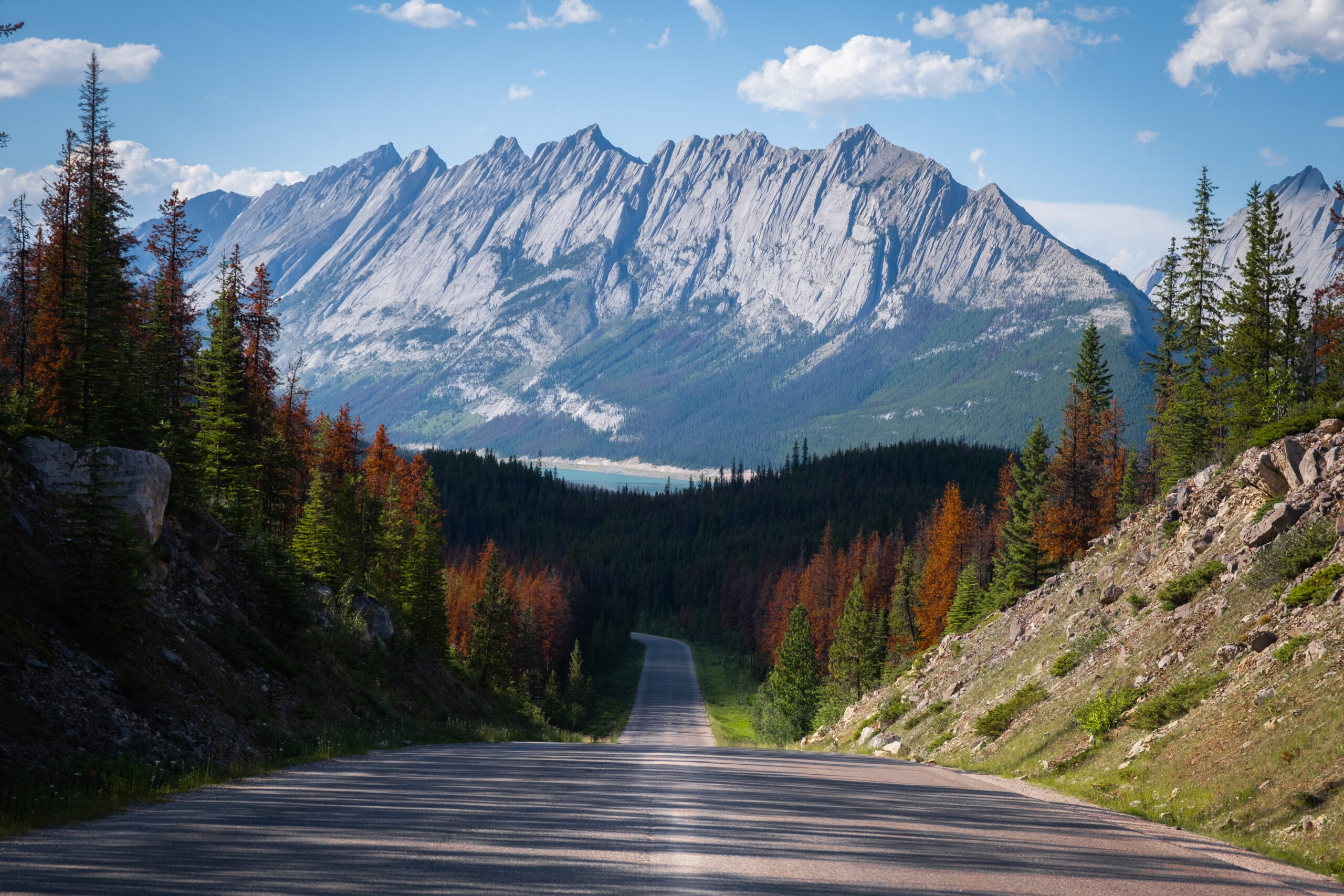 Things to do in Jasper National Park