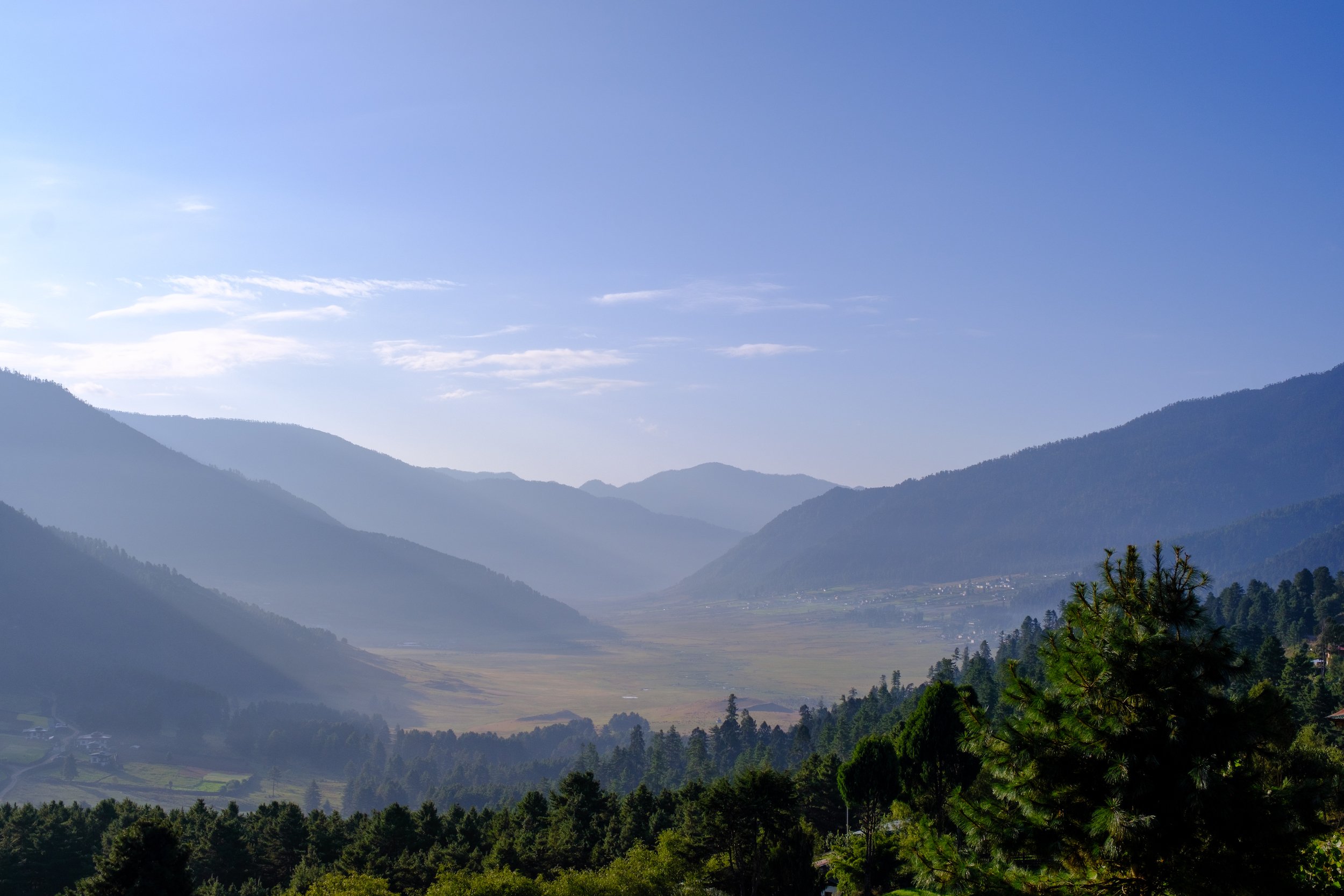 Landscape Of Gangtey Valley