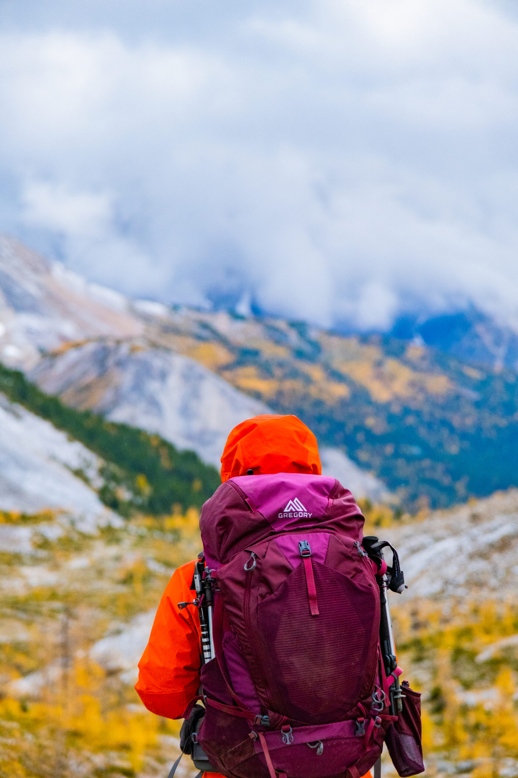 Hiking backpacks