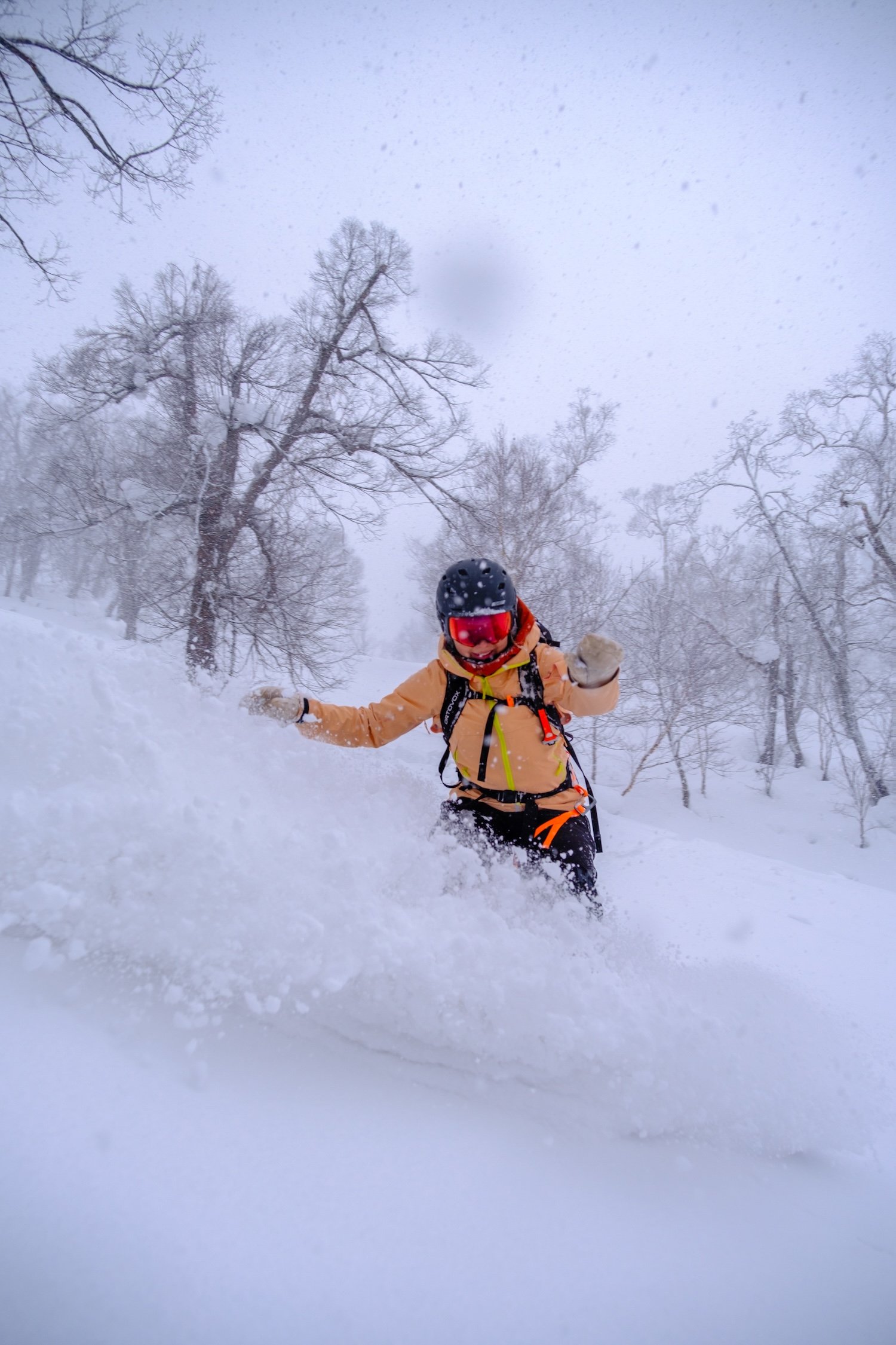 Powder