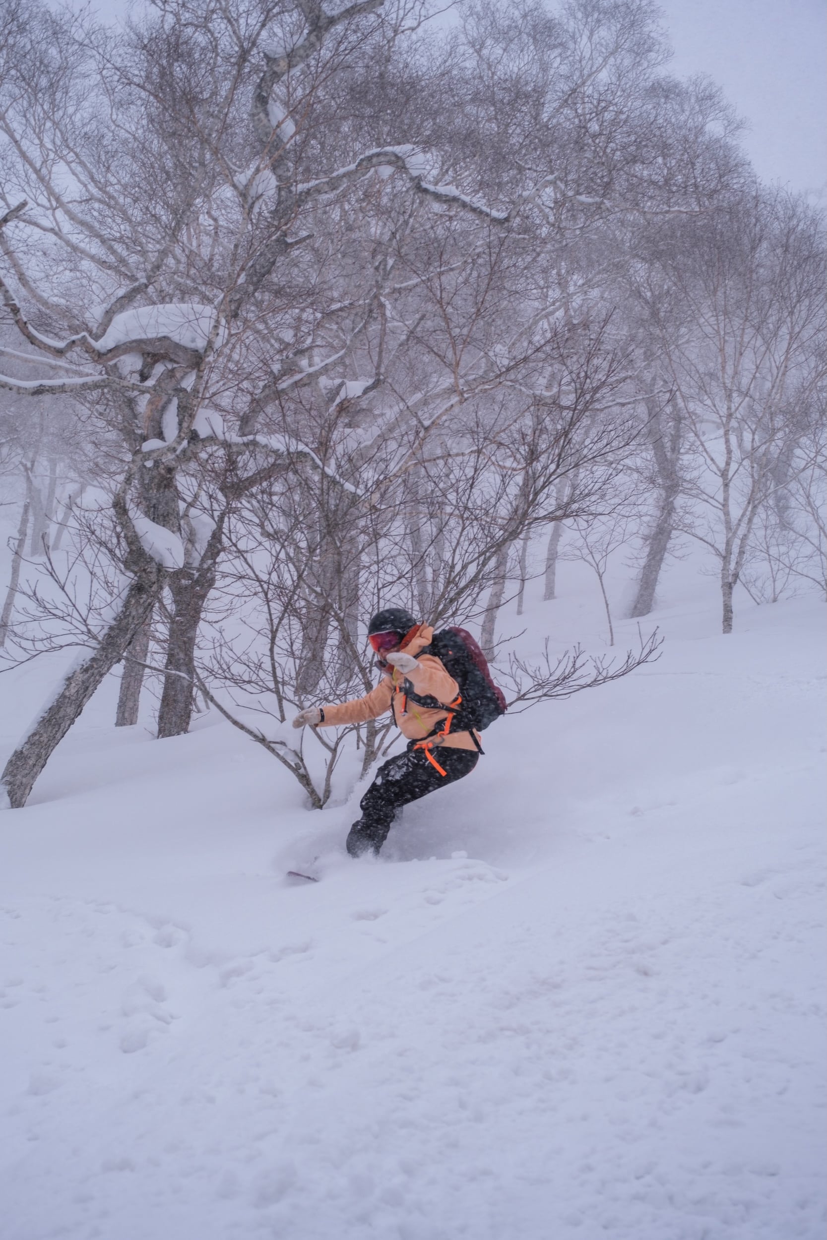 Hokkaido Powder Trip