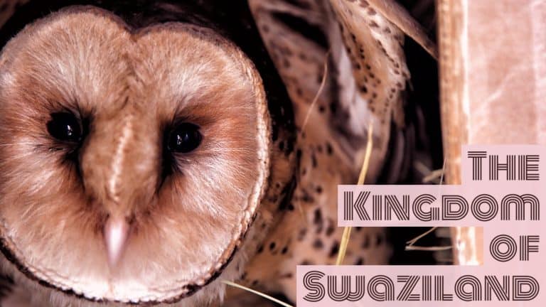 Things to do and see in Swaziland