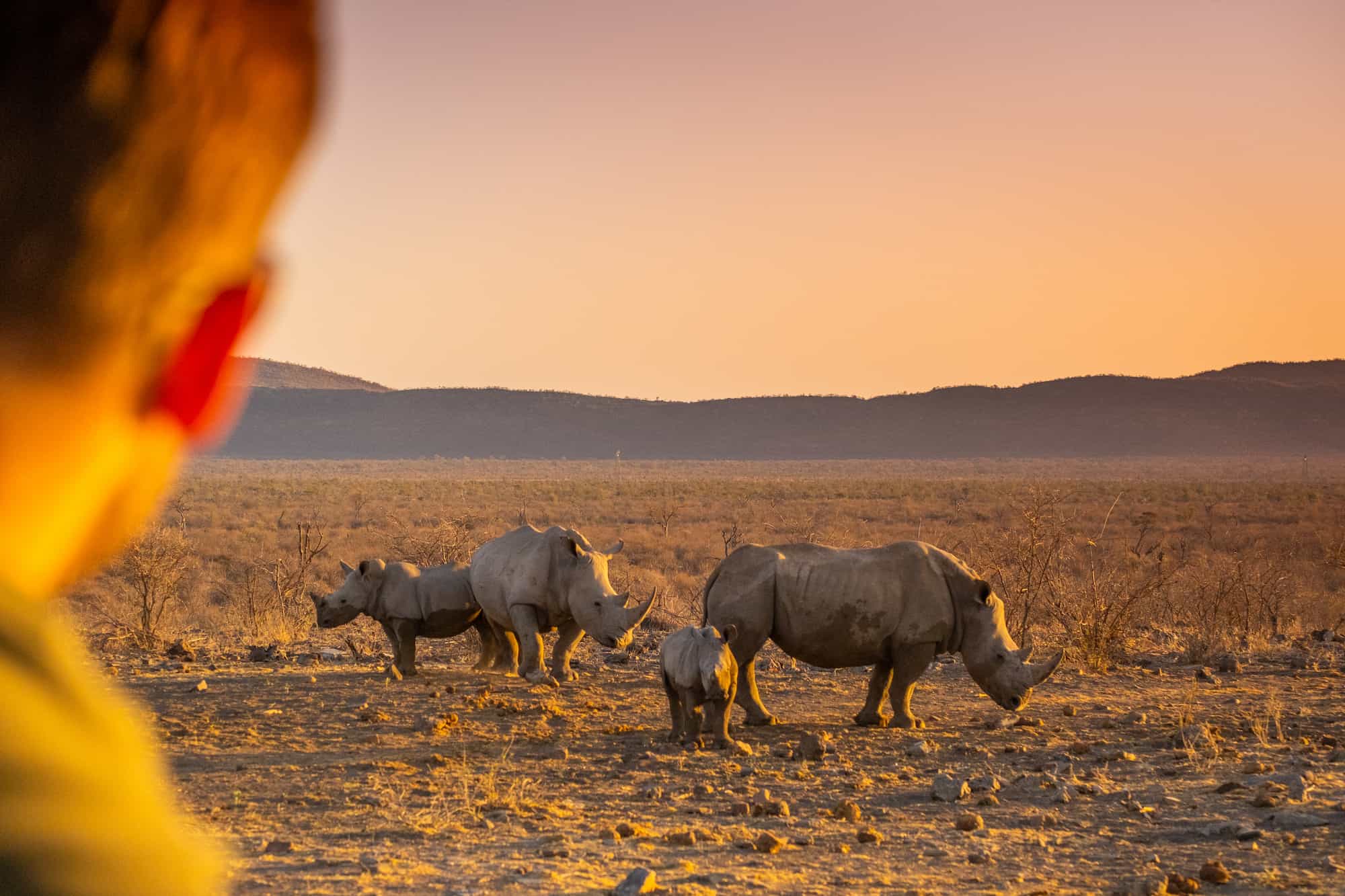 Madike Game Reserve In South Africa