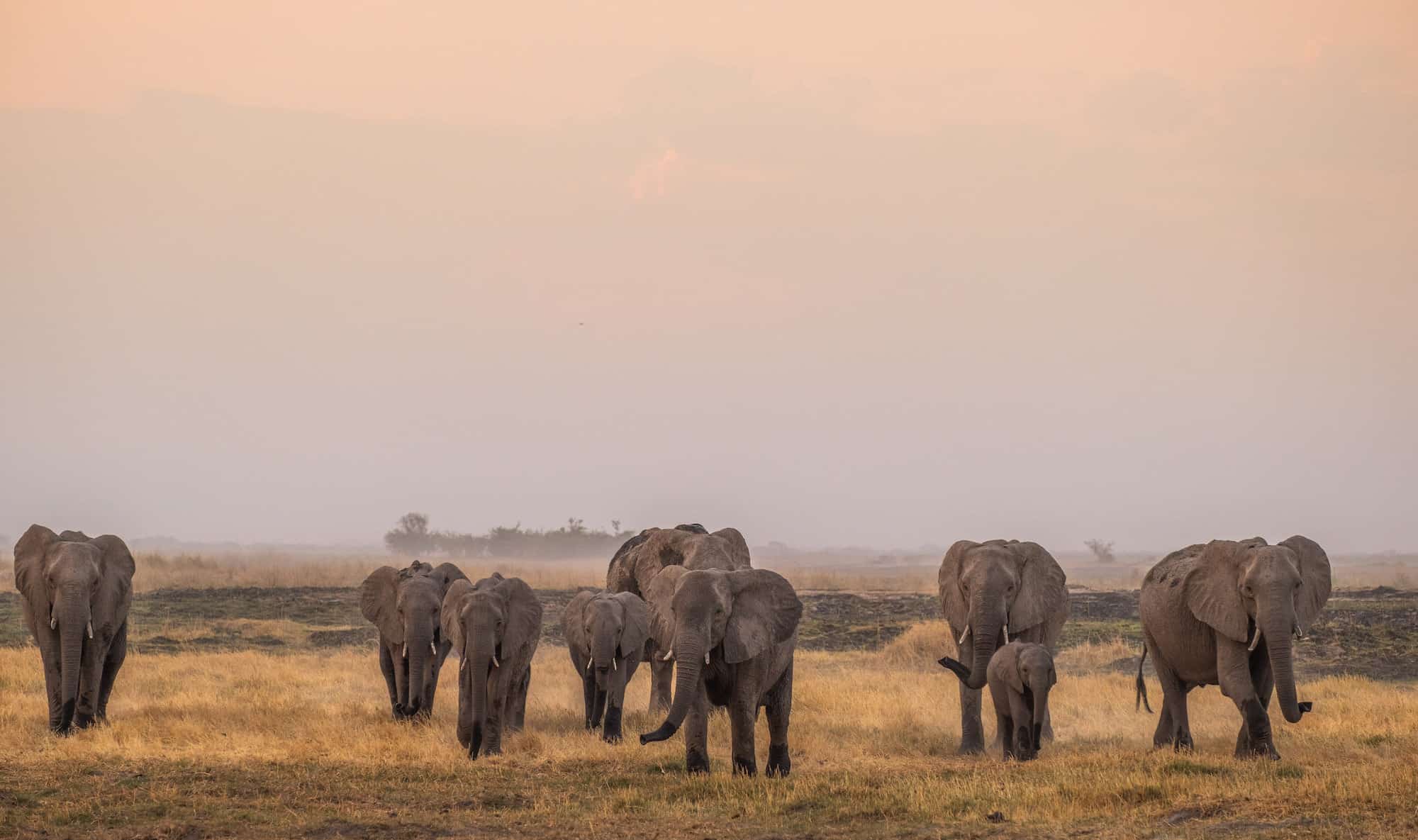 Linyanti Concession - Botswana