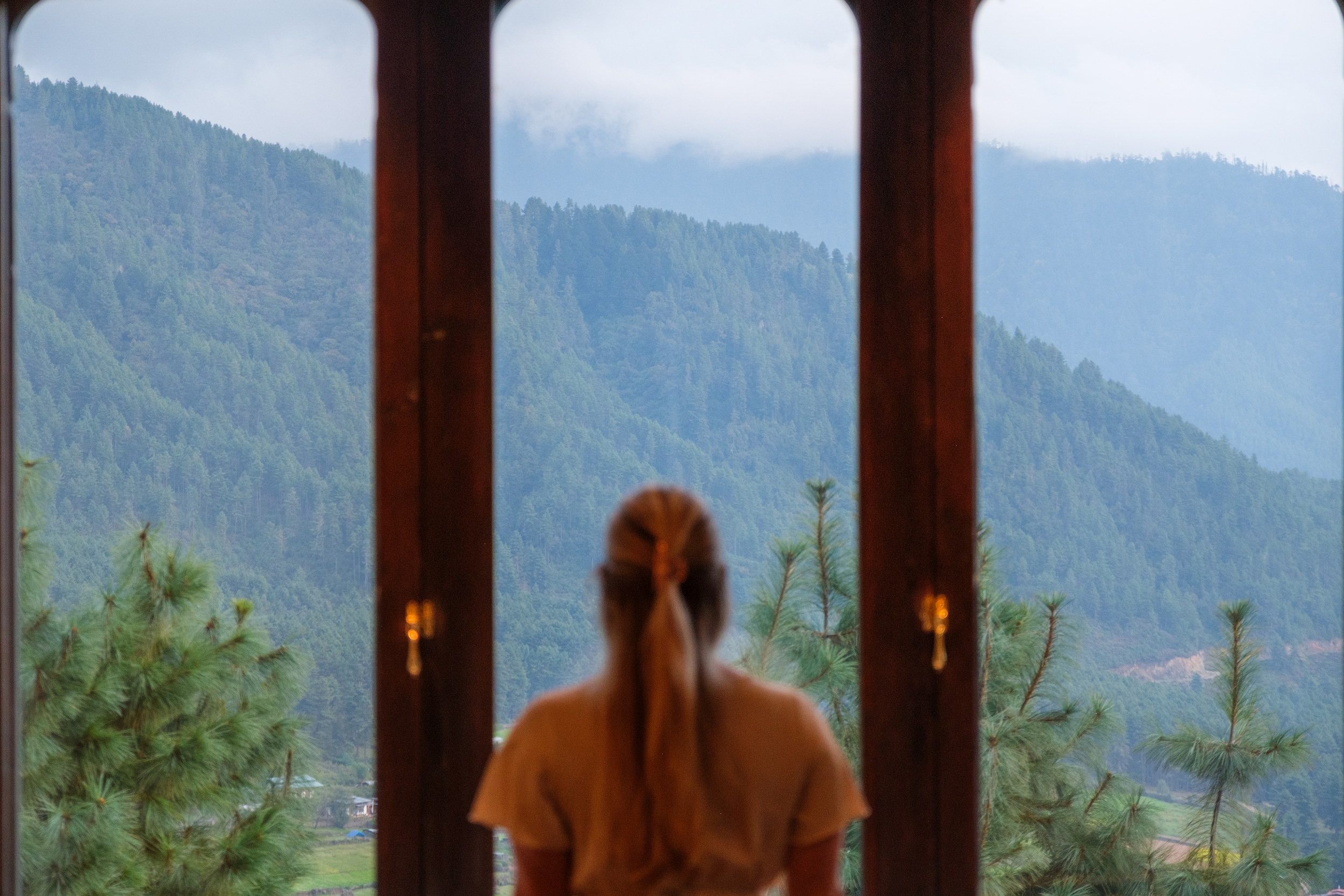 Natasha View Out Room Of Gangtey Lodge