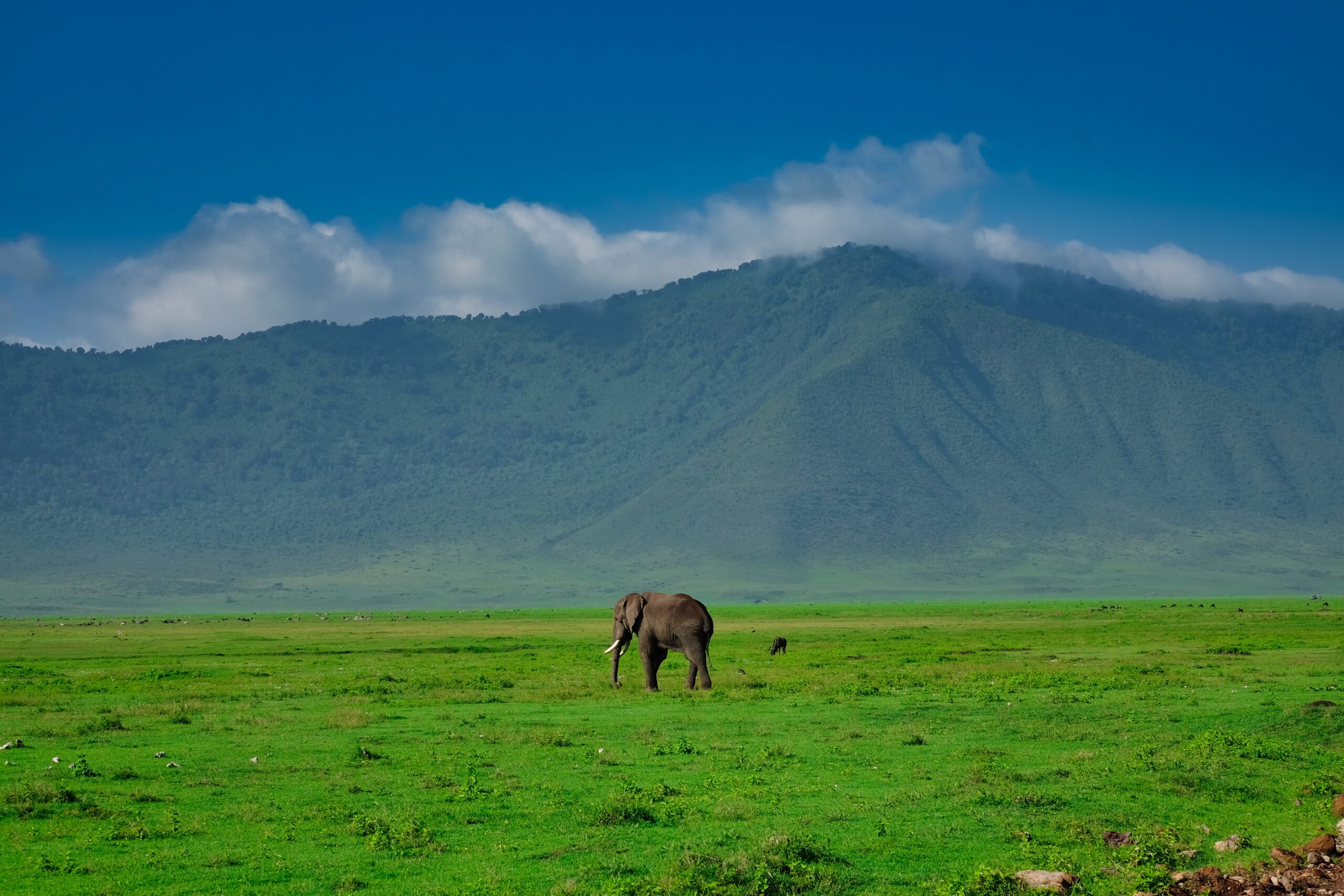 Ngorongoro Crater In Tanzania On Safari