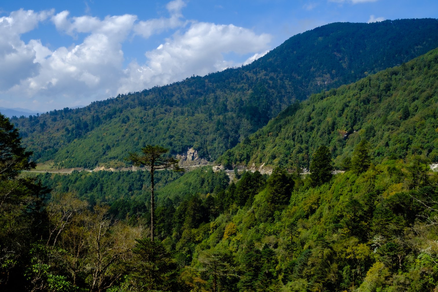 The roads in bhutan