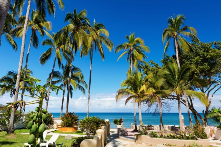 15 BEST Things To Do In Sayulita, Mexico