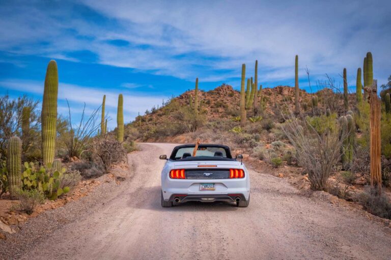 things to do in tucson