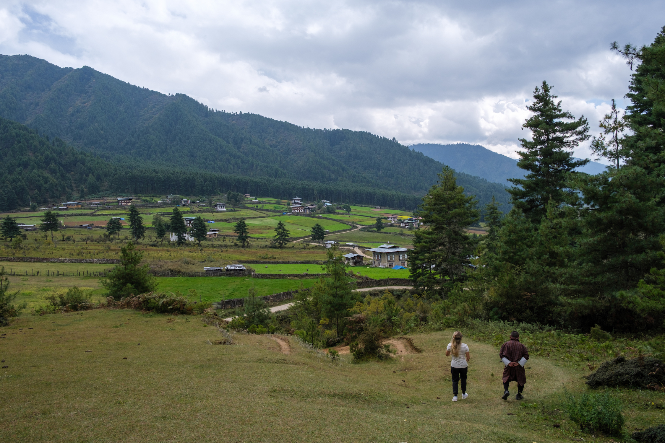 Trekking Gangtey Valley
