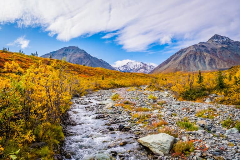 When is the BEST Time to Visit Canada?